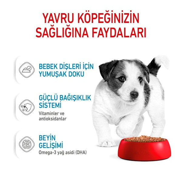 Royal Canin Mini Puppy Küçük Irk Yavru Köpek Konservesi 85gr