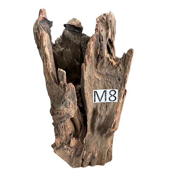 Medium 8