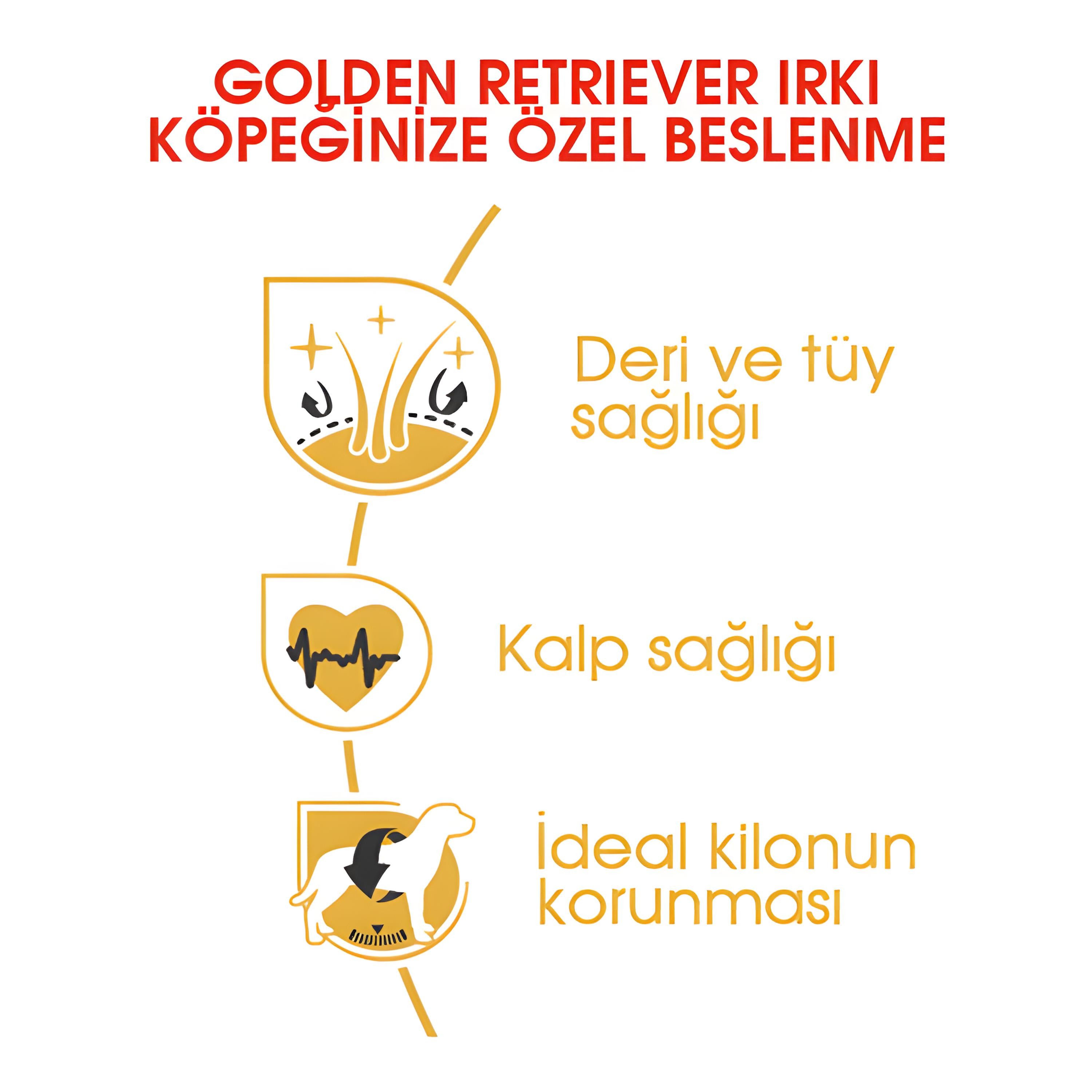 Royal Canin Golden Retriever Yetişkin Köpek Maması 12Kg