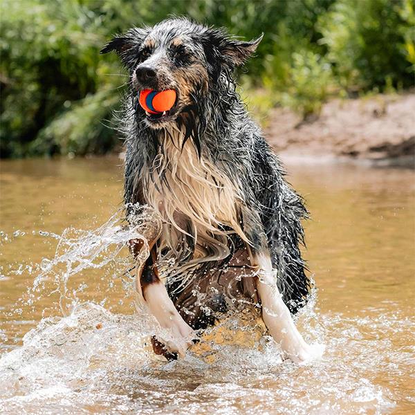 Chuckit Ultra Ball Köpek Oyun Topu Büyük Boy