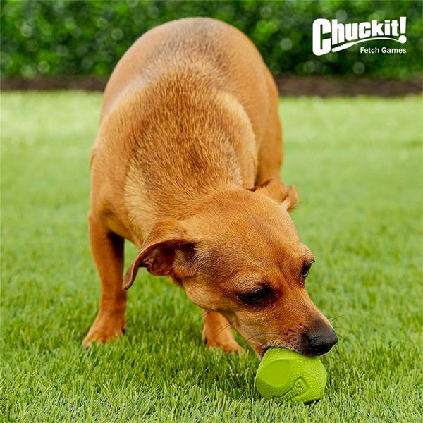 Chuckit Erratic Ball Köpek Oyun Topu Küçük Boy 2li