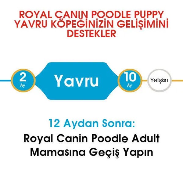 Royal Canin Poodle Junior Yavru Köpek Maması 3 Kg