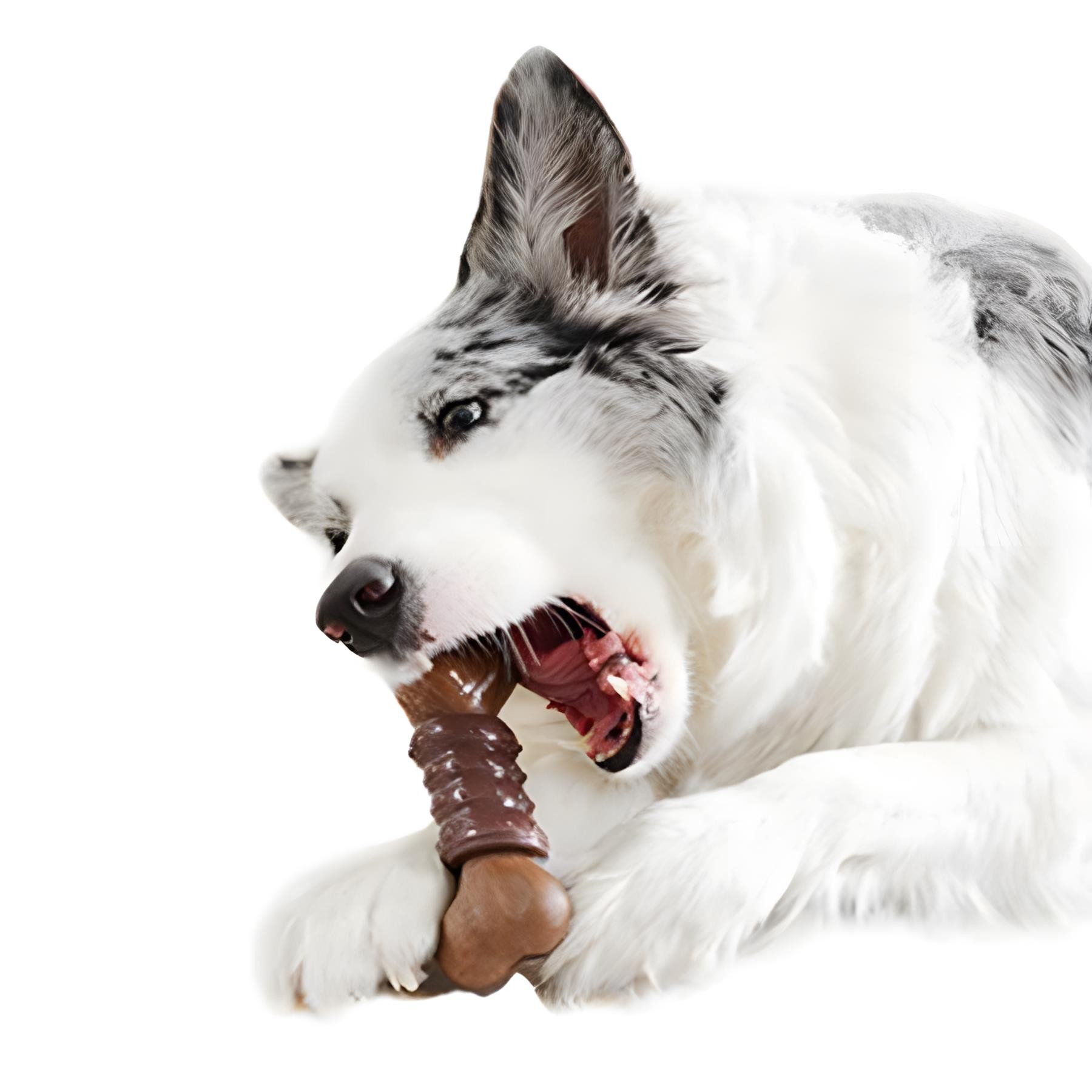 M-Pets Chewood Small Bone Rubber Köpek Oyuncağı
