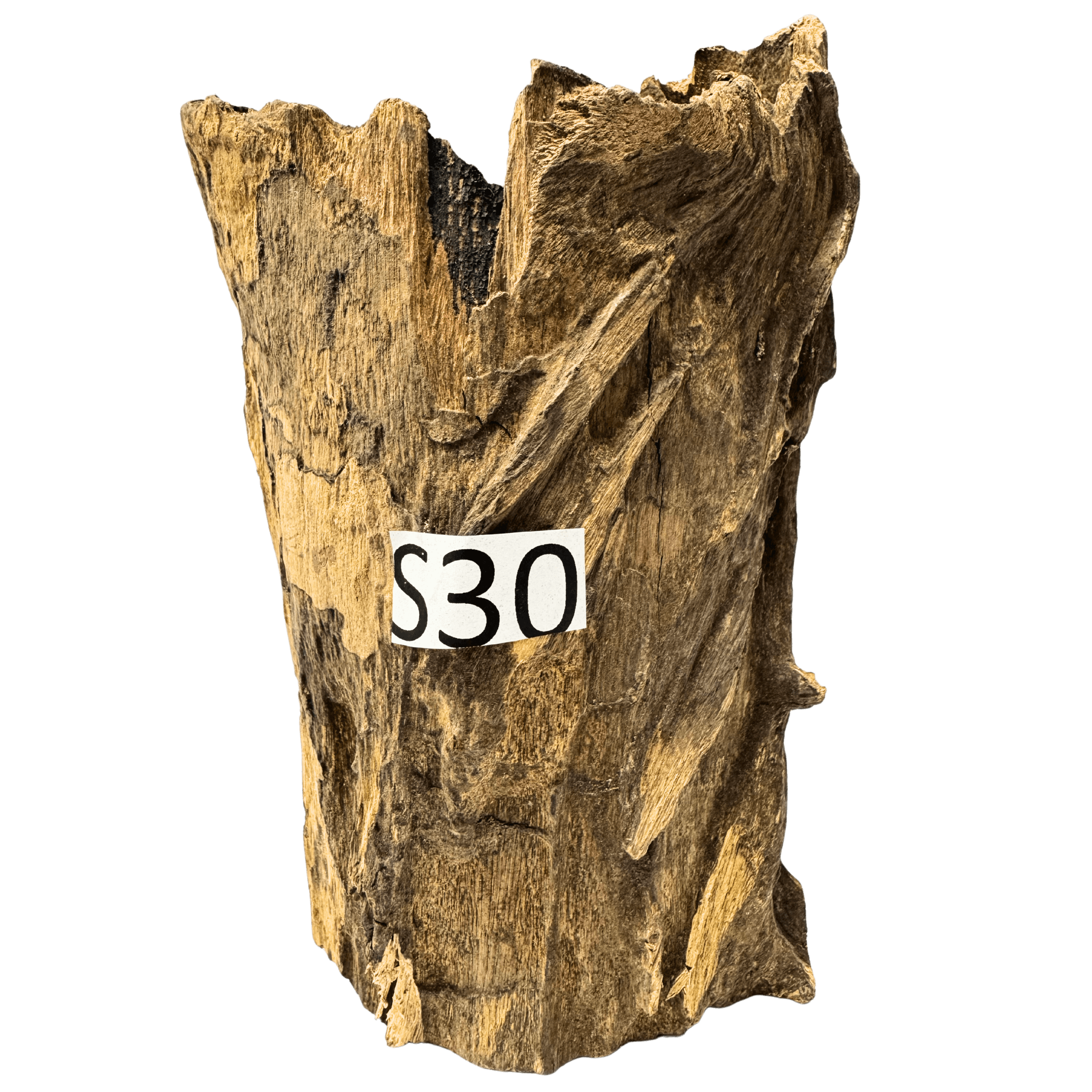 Small 30