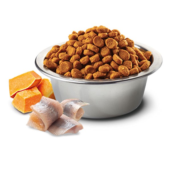 ND Ocean Pumpkin Ringa Balıklı Bal Kabaklı ve Portakallı Tahılsız Yetişkin Kedi Maması 5Kg