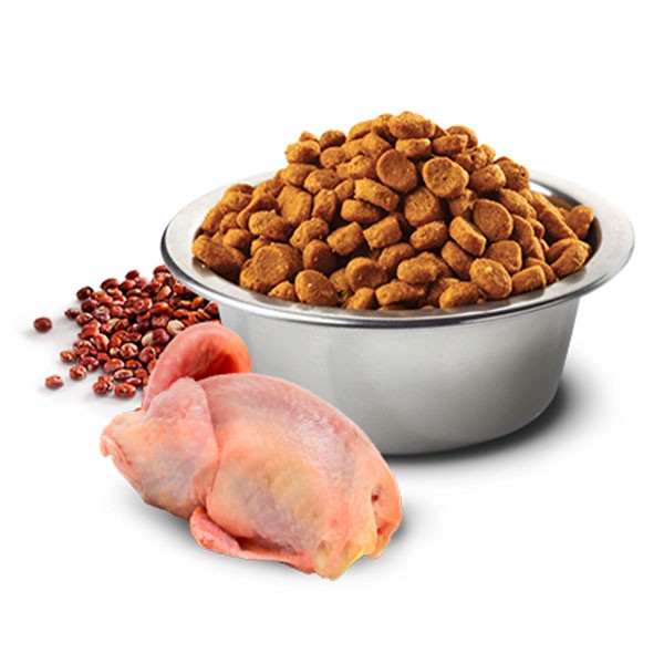 ND Quinoa Skin&Coat Bıldırcın Etli İdrar Yolları Destekleyici Kedi Maması 1,5 Kg