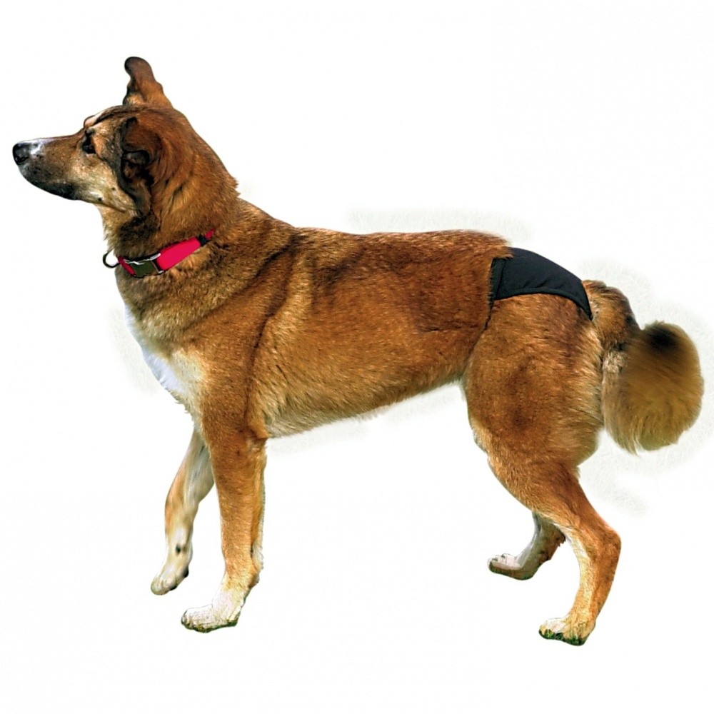 Trixie Hijyenik Köpek Külodu XL 60-70cm Siyah