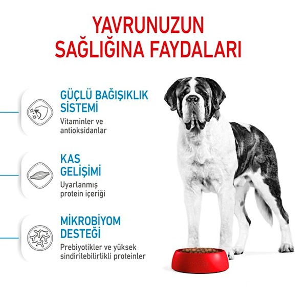 Royal Canin Junior Giant Büyük Irk Yavru Köpek Maması 15Kg