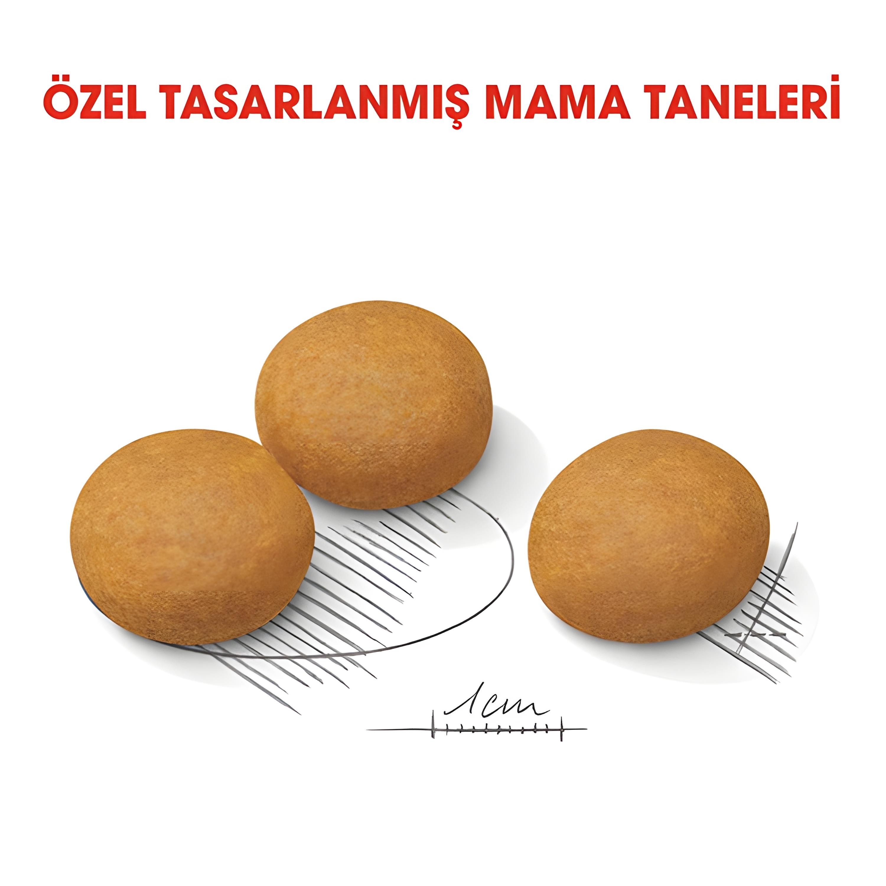 Royal Canin Adult Medium Dermacomfort Yetişkin Köpek Maması 12Kg