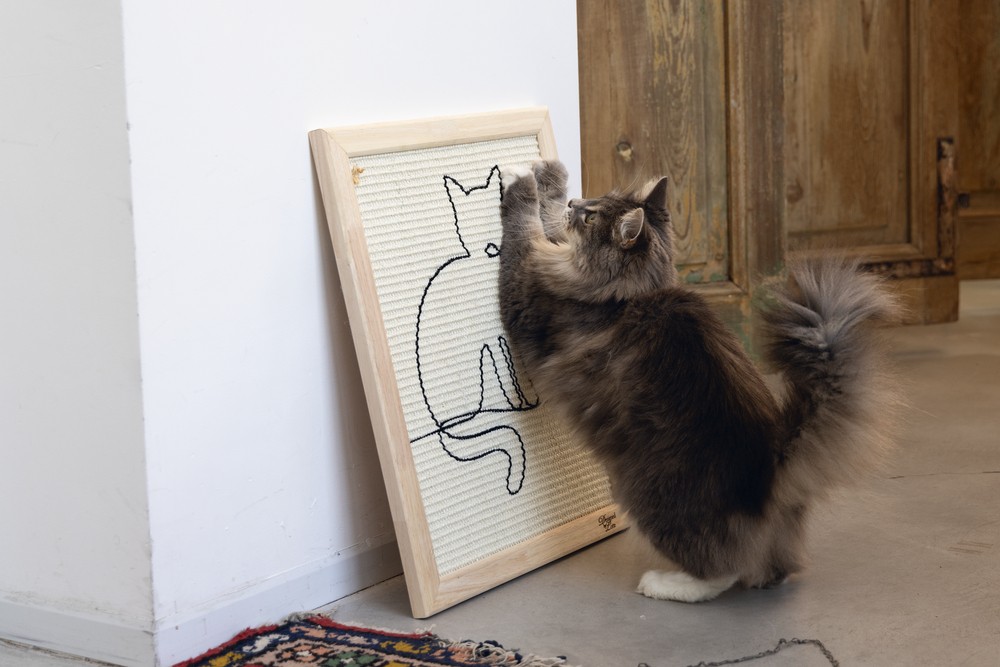 Beeztees DBL Kedi Tırmalama Tahtası, 50x40x2cm