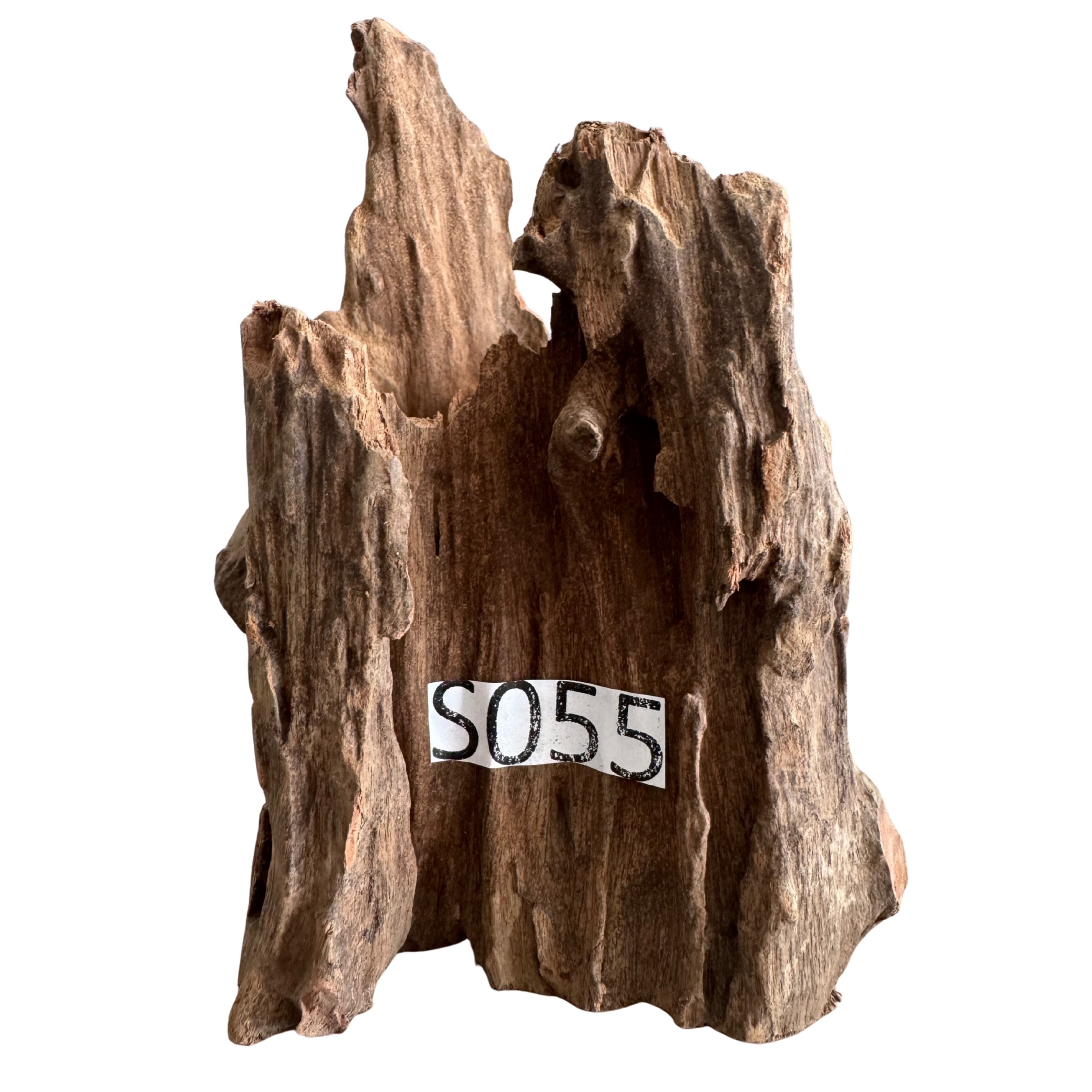 Small 55