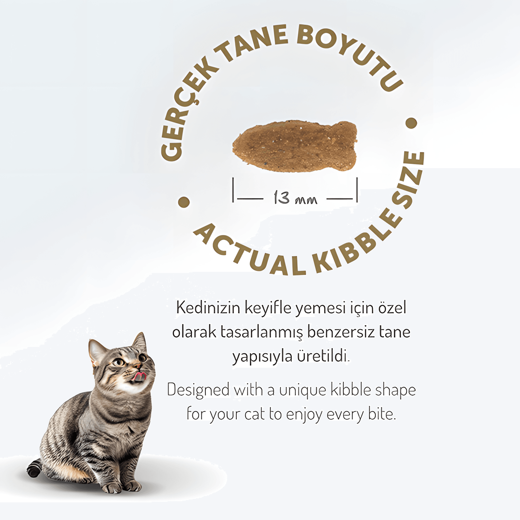 Felicia Az Tahıllı Somon Balıklı Hypoallergenic Kolajenli Yetişkin Kedi Maması 12Kg