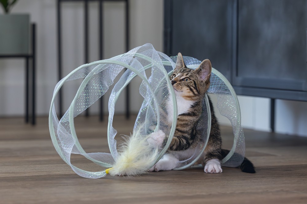 Beeztees Yavru Kedi Tüneli, Spiral Şeklinde, 60x25x25cm