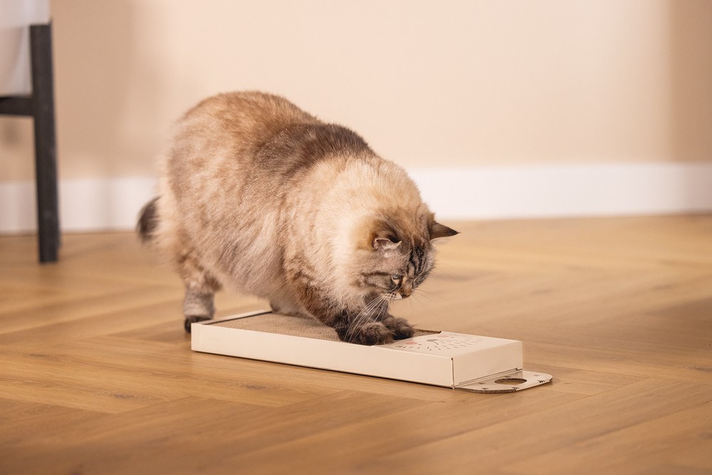 Beeztees Kedi Karton Tırmalama, Bej, 45cm