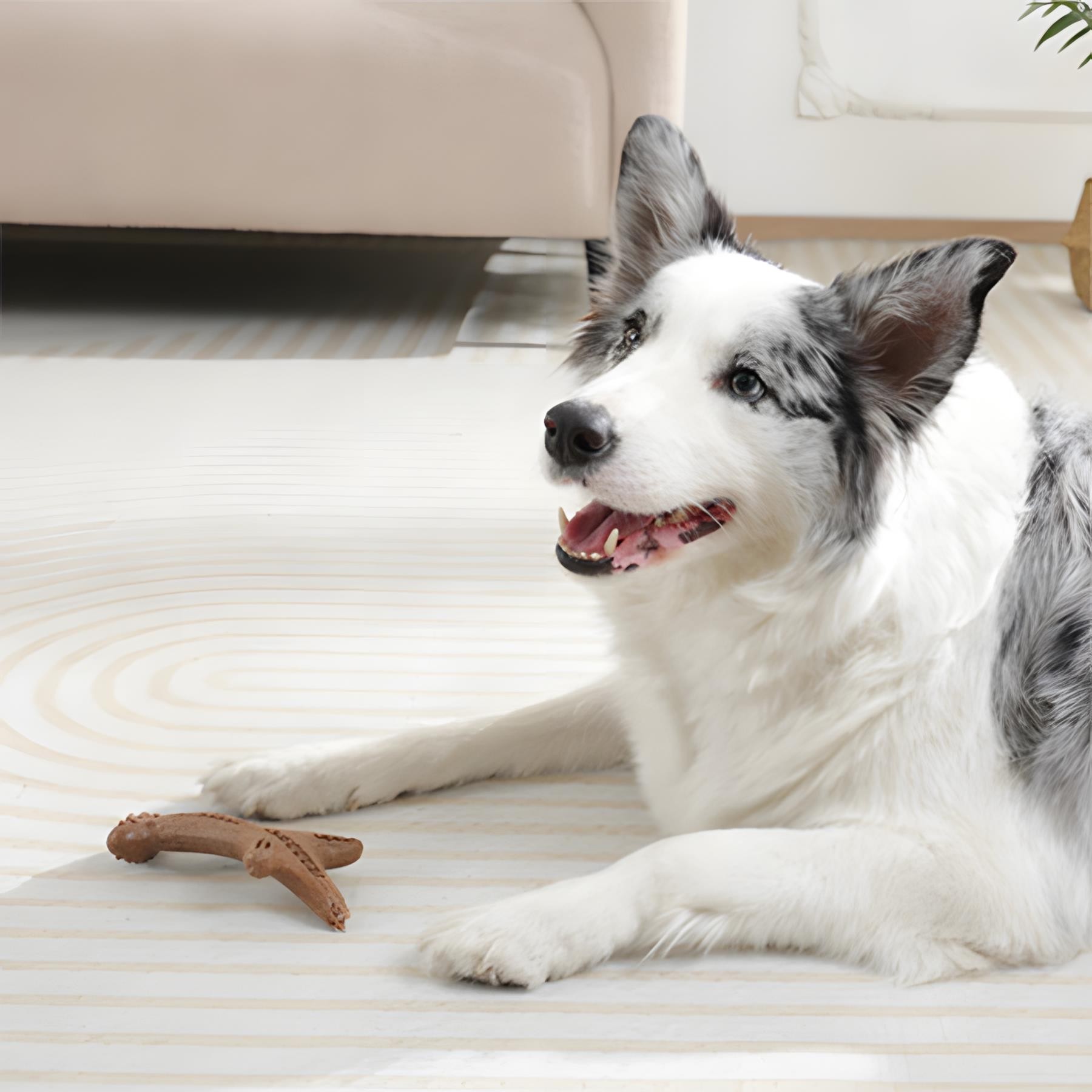 M-Pets Chewood Large Branch Köpek Oyuncağı