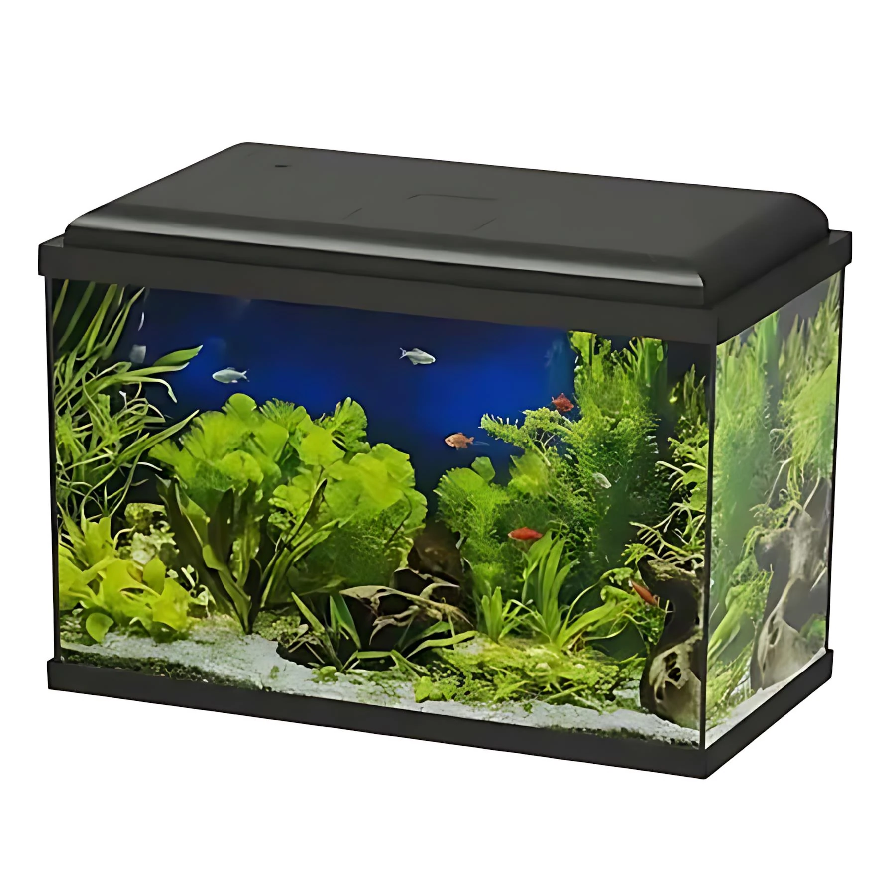 Haqos NS-520 Set Akvaryum Ledli 45Lt