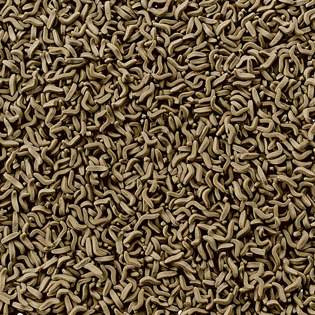 Tetra ReptoMin Kaplumbağa Yemi 1000ml 220 Gr