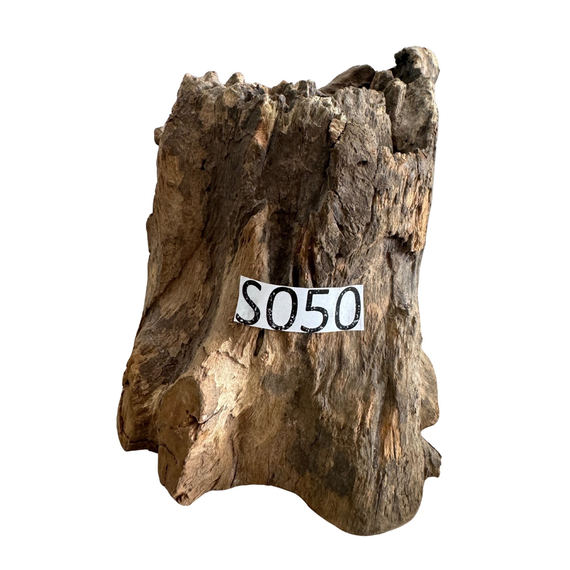 Creaqua Stump Wood Dekor Ağaç Gövdesi S 10-20 Cm - Small 50