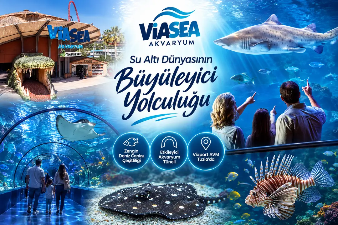 ViaSea Akvaryum Tuzla’da köpekbalıkları, vatozlar, aslan balıkları ve farklı deniz canlılarının yer aldığı akvaryum tünelini keşfeden ziyaretçiler.