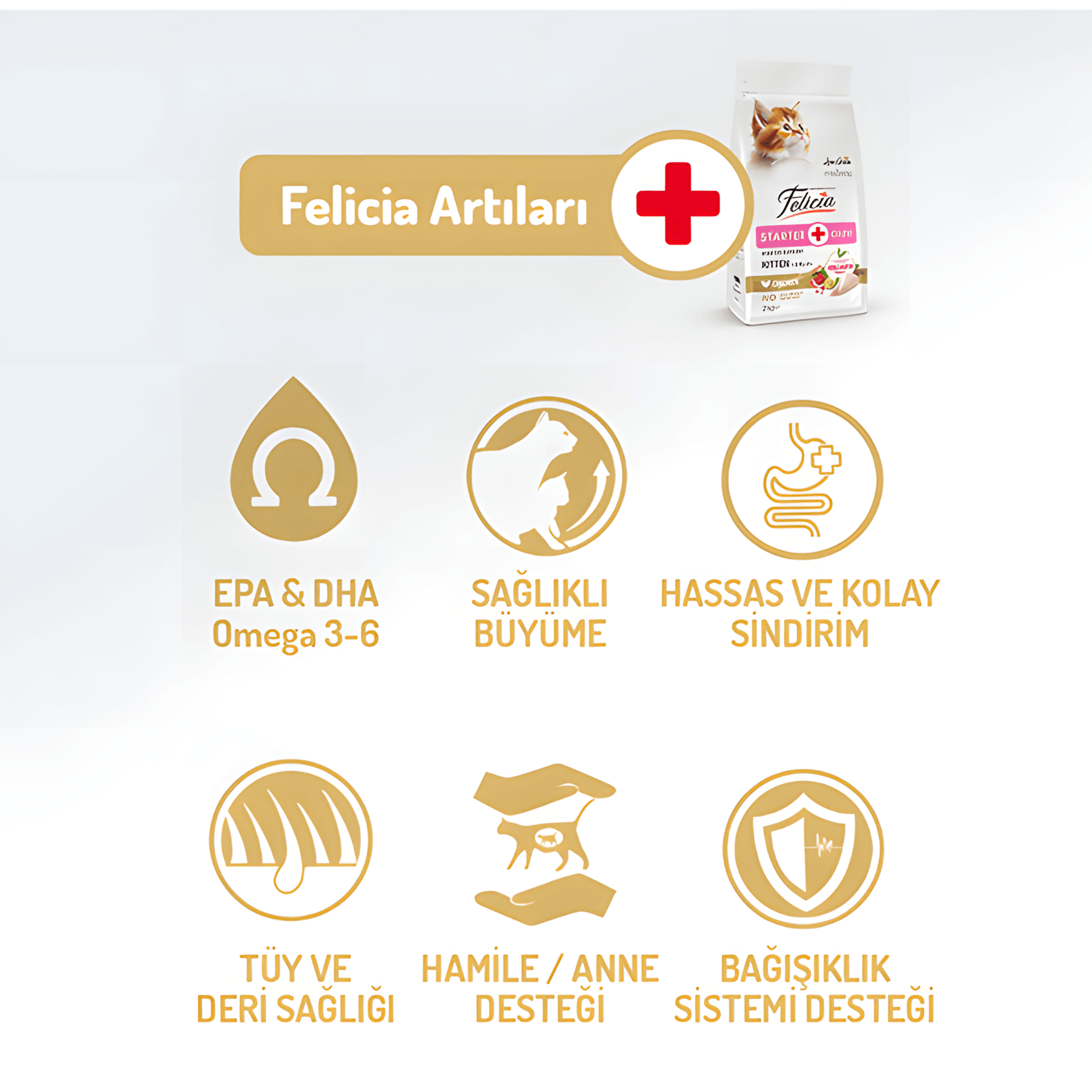 Felicia Az Tahıllı Tavuklu Hypoallergenic Kolajenli Yavru Kedi Maması 12Kg