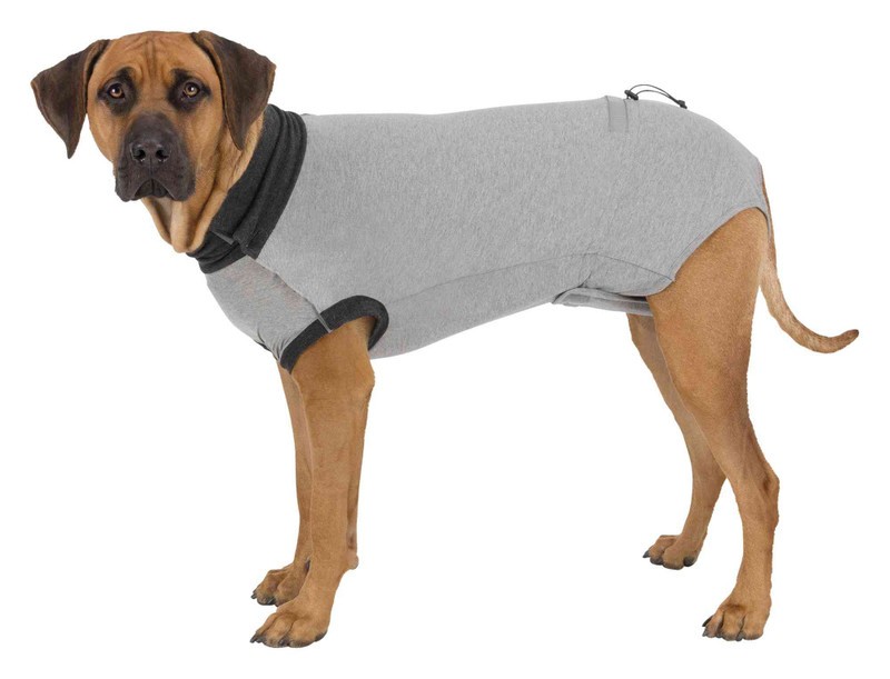 Trixie Köpekler İçin Koruyucu Gövde Kıyafeti Xs 25cm