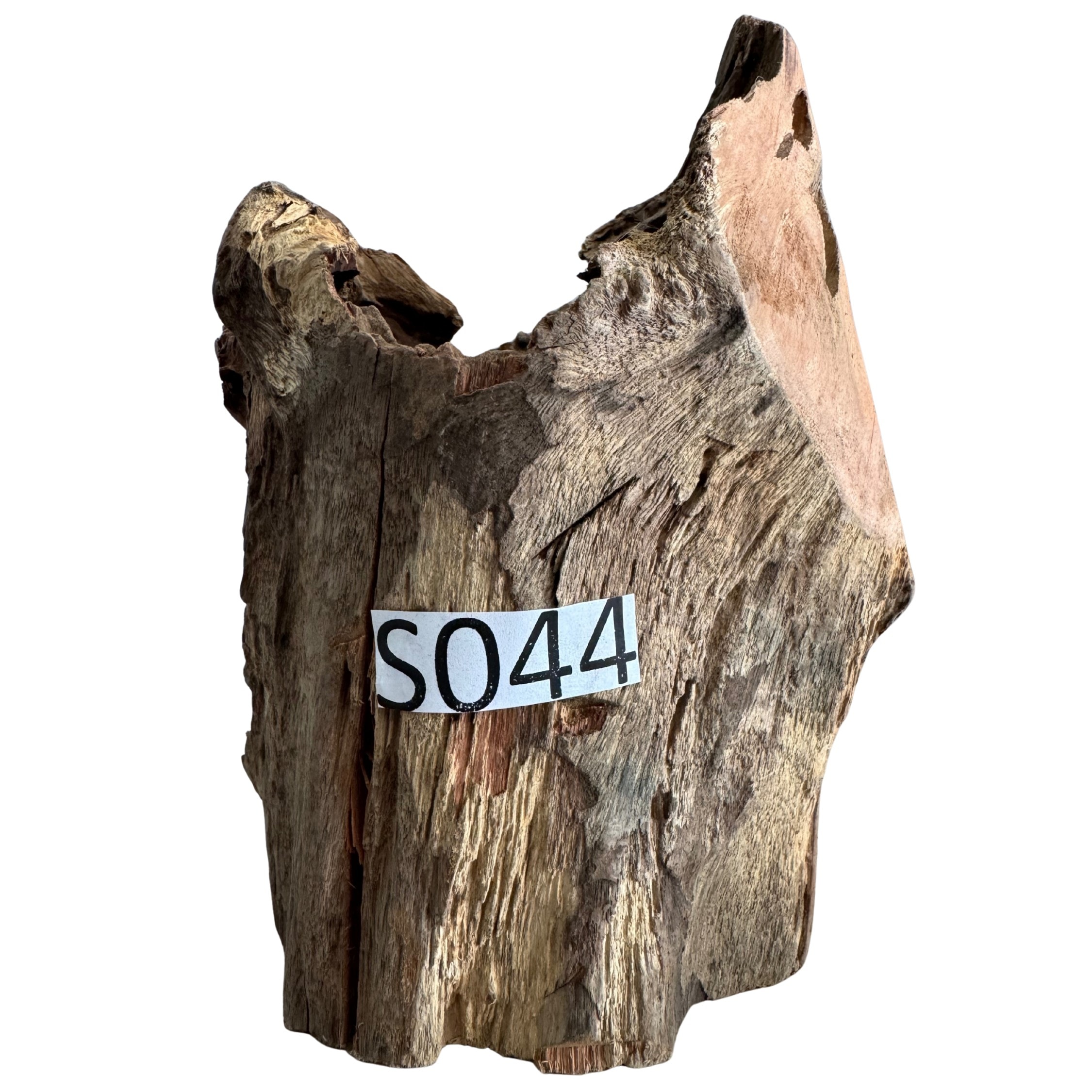 Creaqua Stump Wood Dekor Ağaç Gövdesi S 10-20 Cm - Small 44