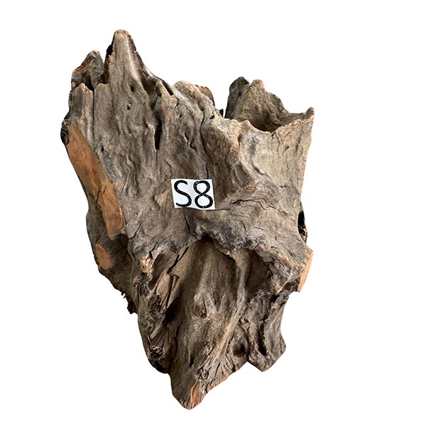 Creaqua Stump Wood Dekor Ağaç Gövdesi S 10-20 Cm - Small 8