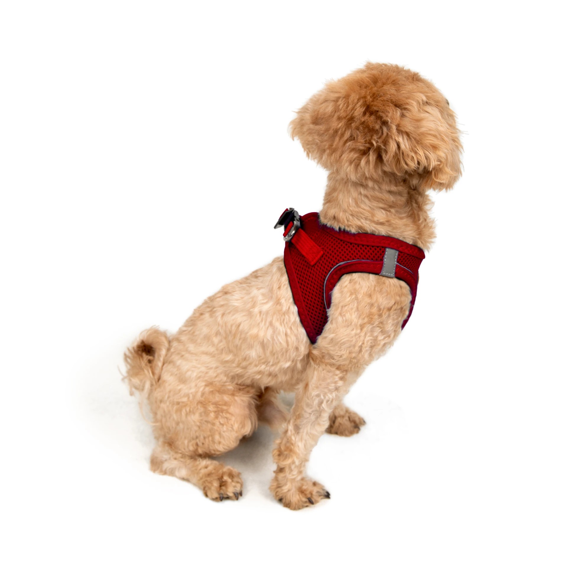 Tailpetz Air-Mesh Harness Red 2XS