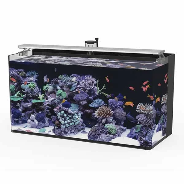 Haqos Sea Tank 60 Tuzlu Su Akvaryumu 50Lt