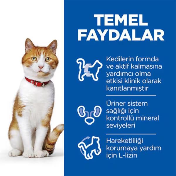Hills Sterilised Pouch Somonlu Kısırlaştırılmış Yetişkin Kedi Maması 85gr