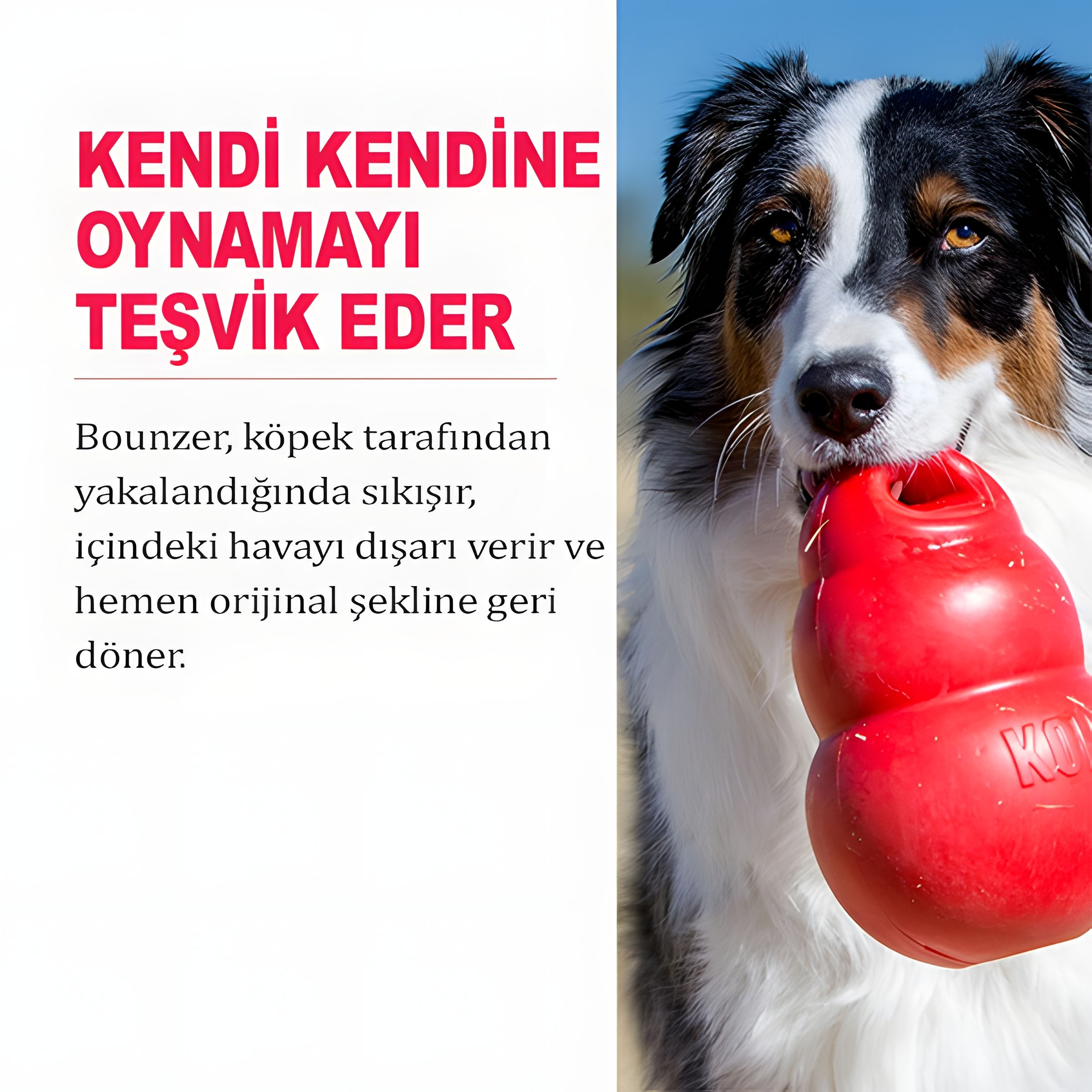 Kong Bounzer Zıplayan Yumuşak Köpek Oyuncağı L 20cm 