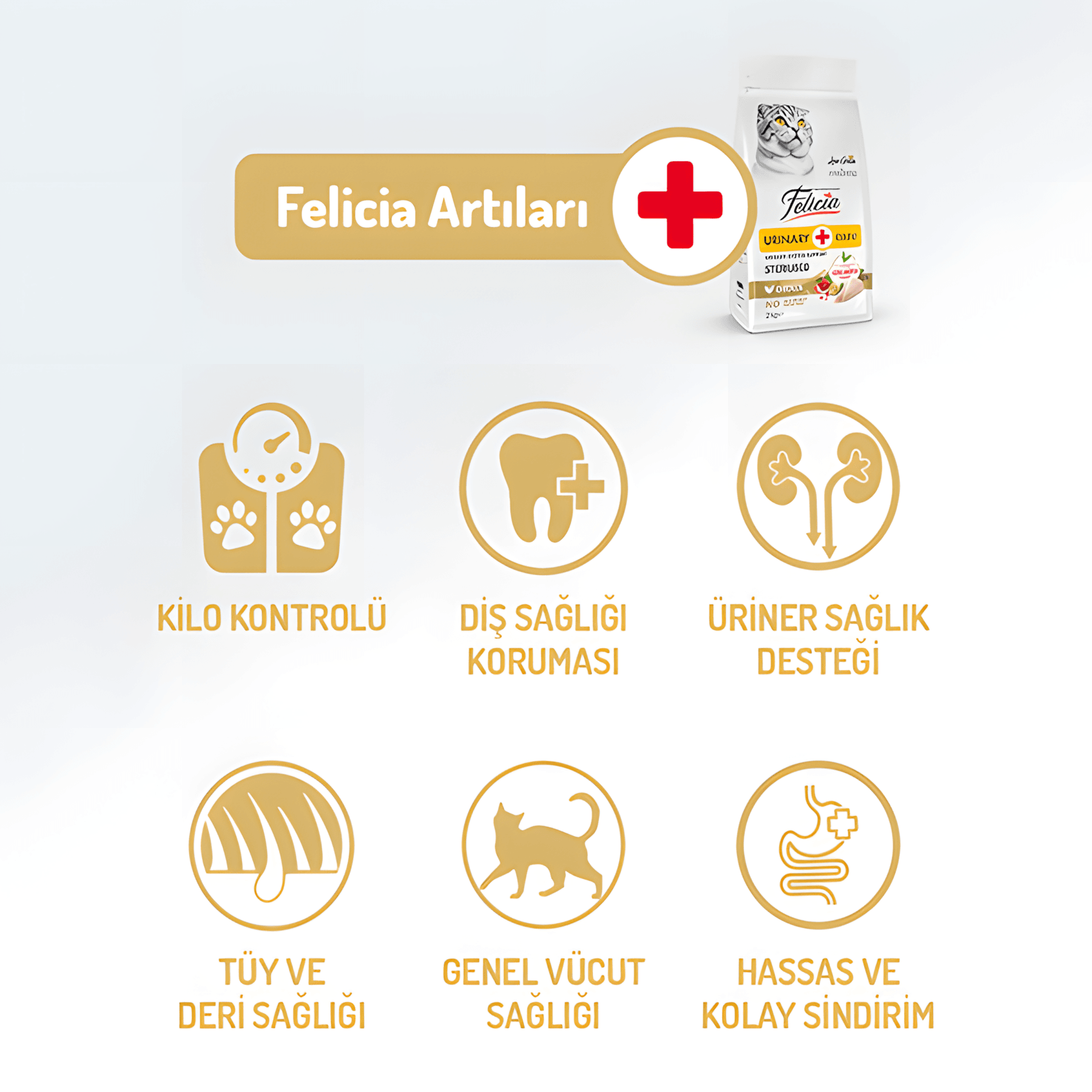 Felicia Kısırlaştırılmış Tavuklu Sterilised Kedi Maması  2 Kg