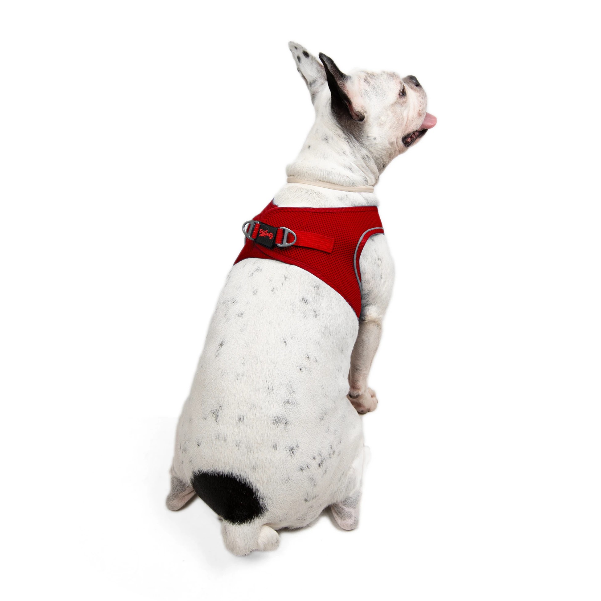 Tailpetz Air-Mesh Harness Red L