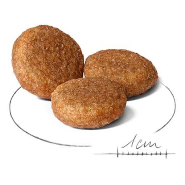 Royal Canin Medium Adult Orta Irk Yetişkin Köpek Maması 15Kg