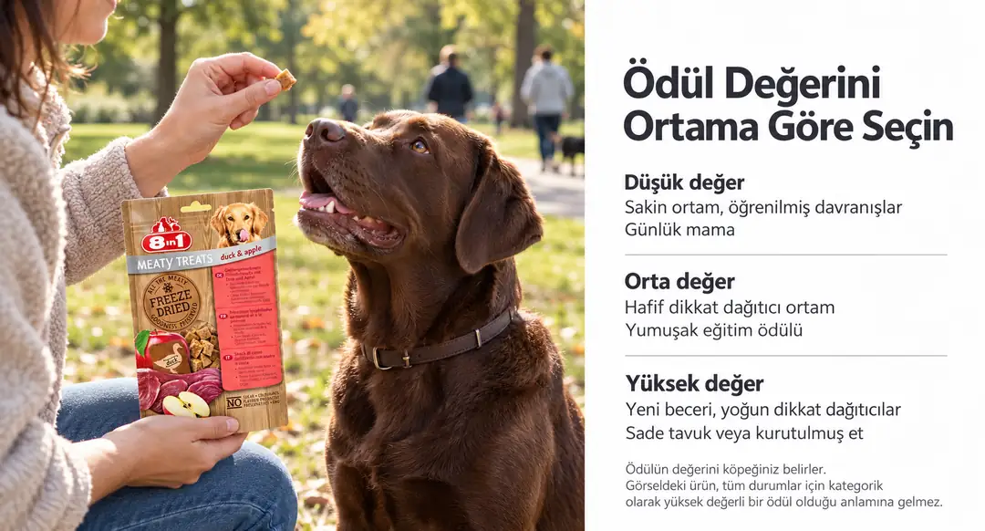 &nbsp; Ödül mamaları düşük, orta ve yüksek değer olmak üzere üç katmana ayrılabilir ve görev zorluğuna ve çevresel dikkat dağıtıcılığa göre eşleştirilmelidir&nbsp;&nbsp;