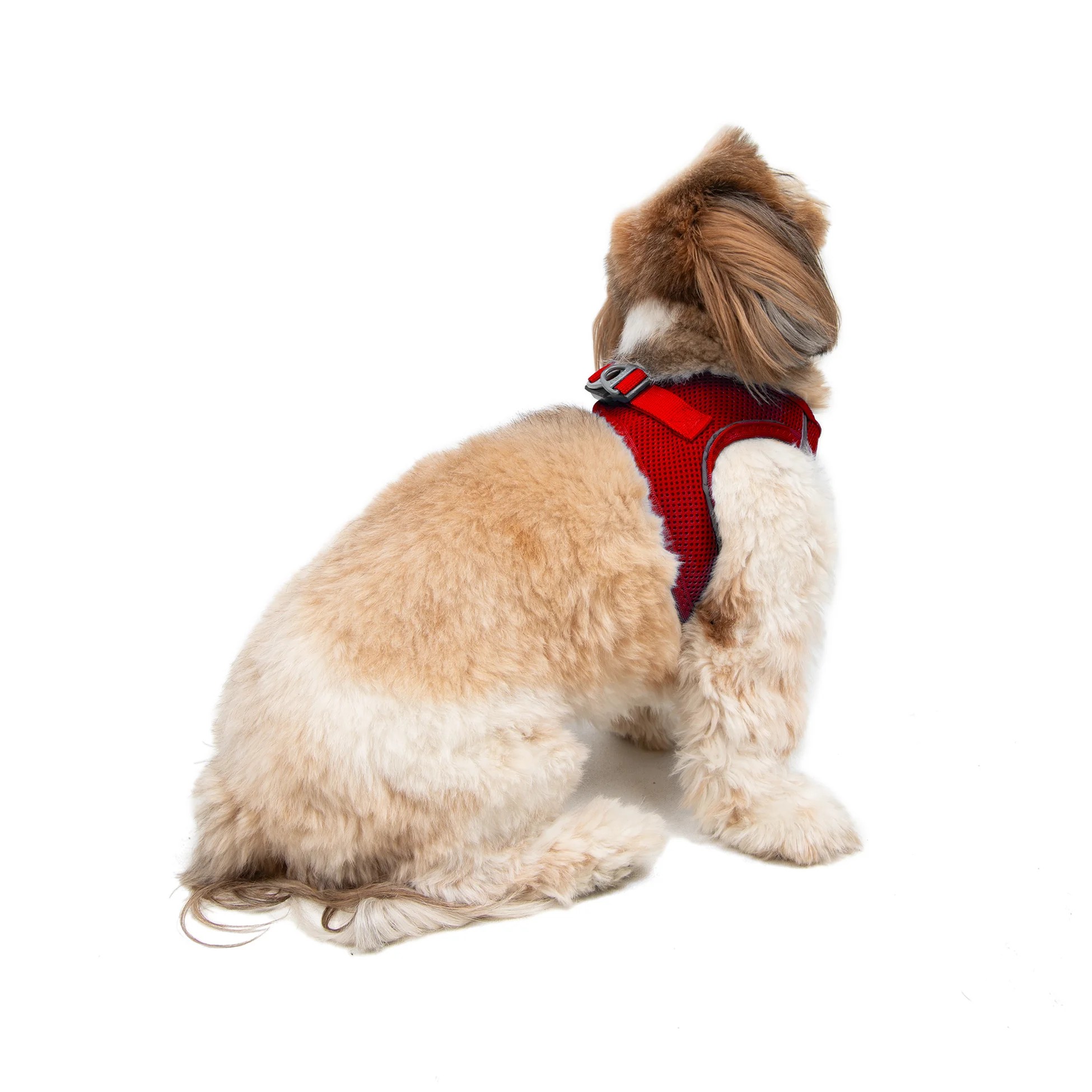 Tailpetz Air-Mesh Harness Red XS