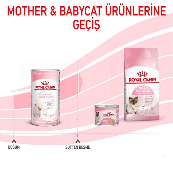 Royal Canin Babycat Milk Kedi Süt Tozu 300 gr