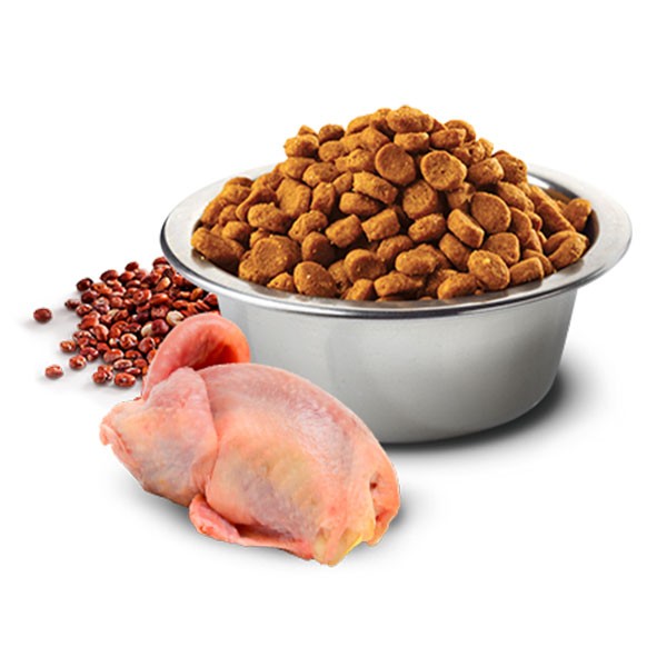 ND Quinoa Skin Coat Hindistan Cevizli Bıldırcınlı Tahılsız Yetişkin Kedi Maması 5Kg