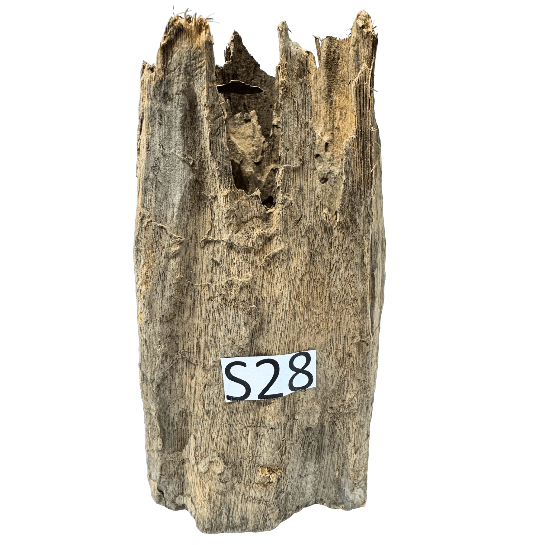 Small 28