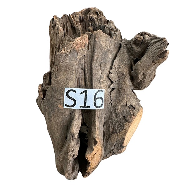 Creaqua Stump Wood Dekor Ağaç Gövdesi S 10-20 Cm - Small 16
