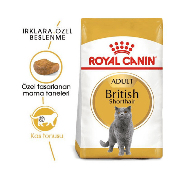 Royal Canin British Shorthair Yetişkin Kedi Maması 4 Kg