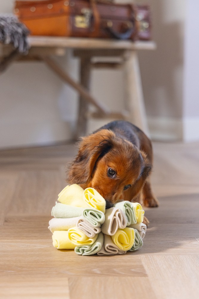 Beeztees Köpek Ödül Saklama Oyuncağı, Top, Polar, Gri/Yeşil, 13cm