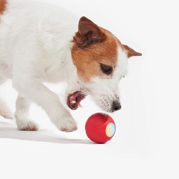 Cheerble Şarjlı Akıllı İnteraktif Köpek Oyun Topu Kırmızı Small 5,5cm