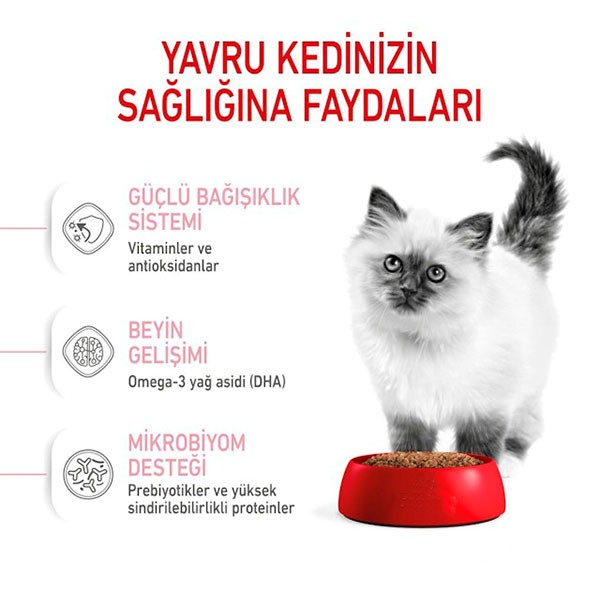 Royal Canin Kitten 36 Yavru Kedi Maması 4 Kg