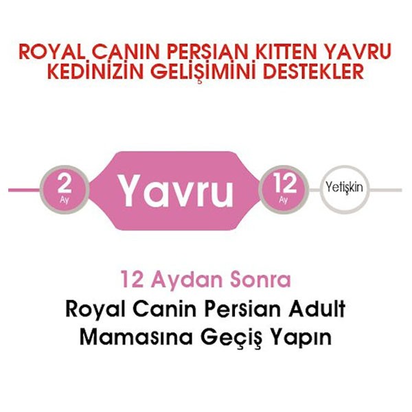 Royal Canin Persian Kitten Yavru Kedi Maması 2 Kg