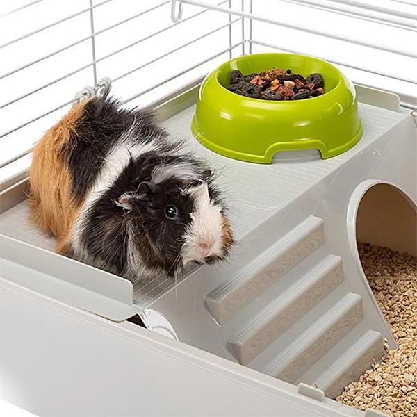 Ferplast Cavie 80 Tavşan ve Guinea Pig Kafesi 77x48x42Cm