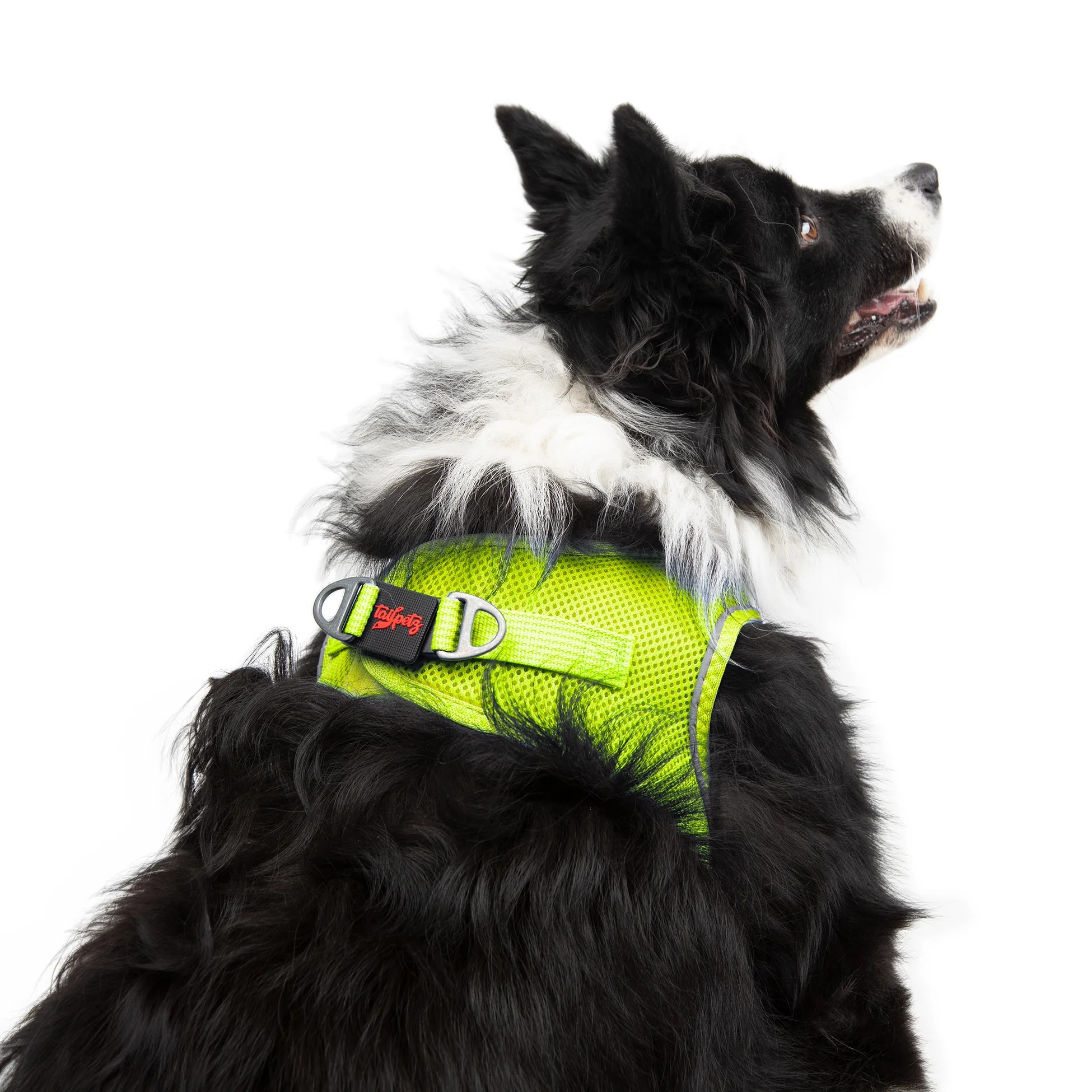 Tailpetz Air-Mesh Harness Neo Lime XL