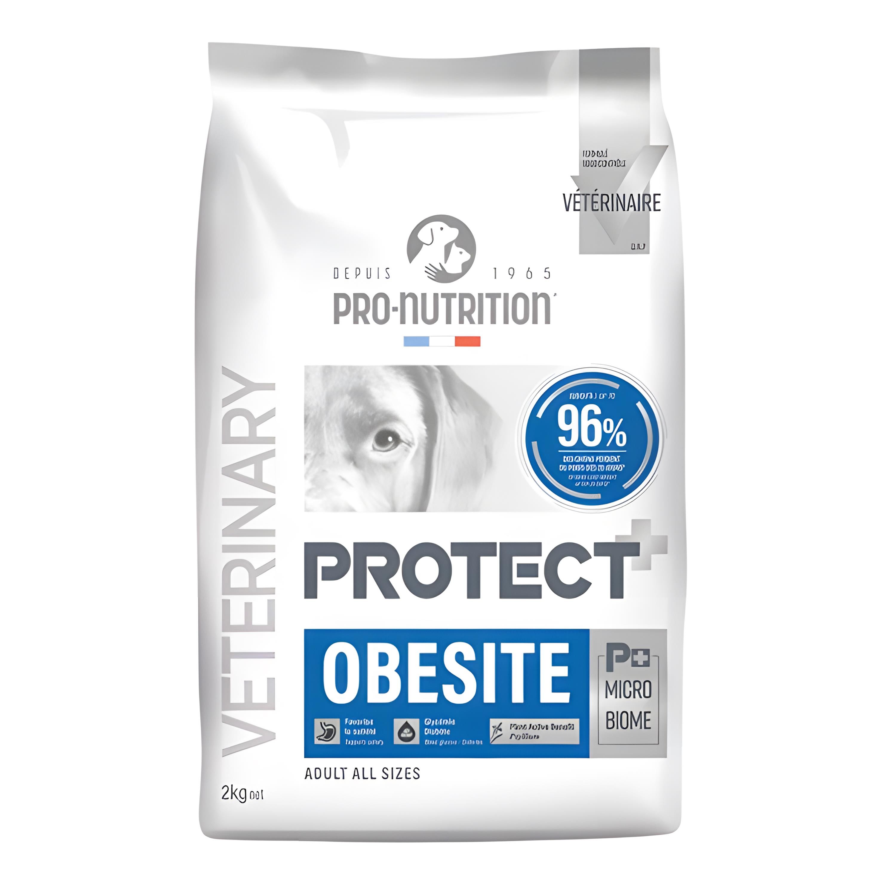 Pro Nutrition Protect Veterinary Obesite Kilo Kontrolü İçin Köpek Maması 2kg