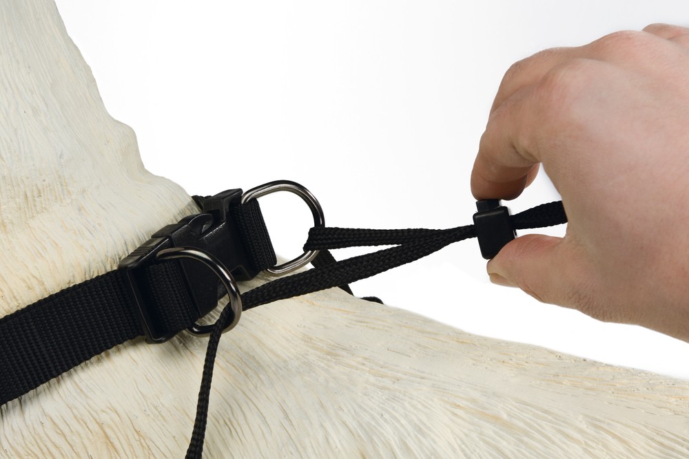Beeztees Köpek Yürüyüş Eğitim ve Düzeltme Tasması, M