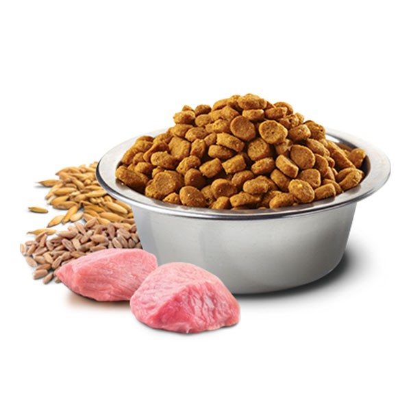 ND Düşük Tahıllı Kuzu Etli ve Yaban Mersinli Küçük Irk Yetişkin Köpek Maması 800gr